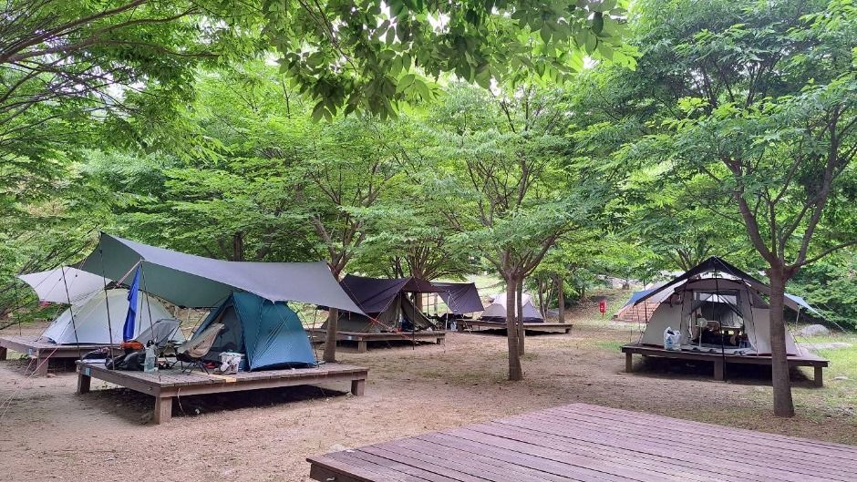 함허동천야영장 여행 추천 - 메고지고 함허동천야영장 여행 추천 - 메고지고