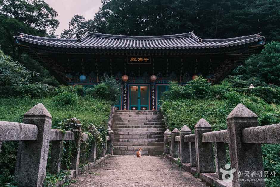 광덕사(천안) 여행 추천 - 메고지고 광덕사(천안) 여행 추천 - 메고지고