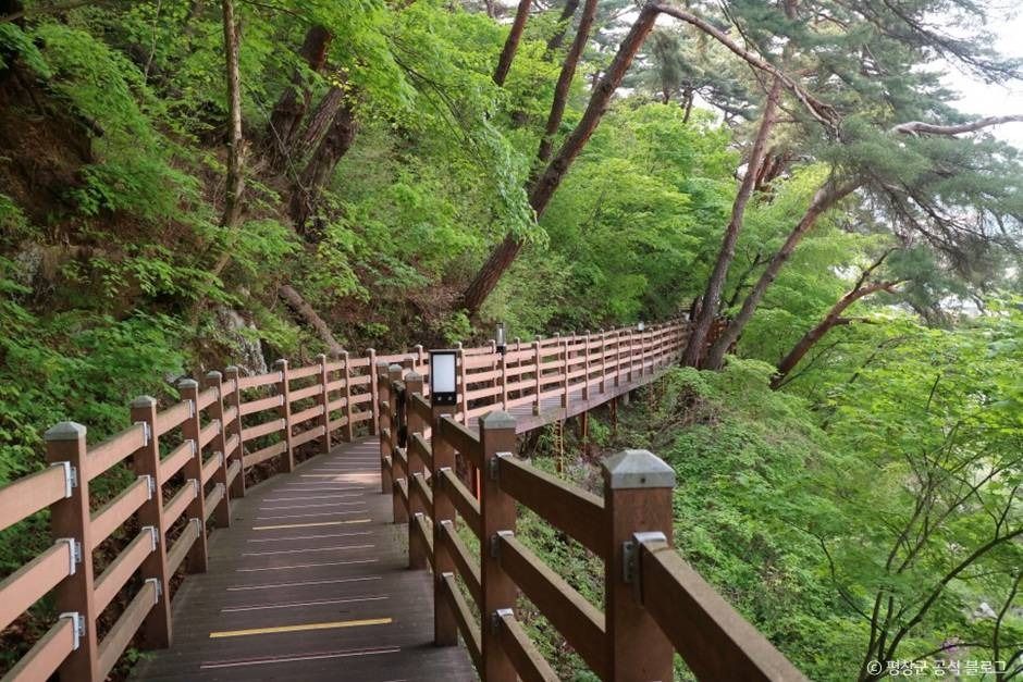 [효석문학100리길 1코스] 문학의 길 여행 추천 - 메고지고