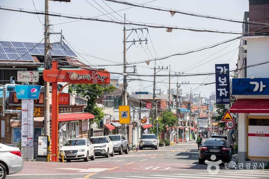 안지랑 곱창골목 여행 추천 - 메고지고 안지랑 곱창골목 여행 추천 - 메고지고