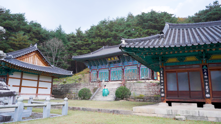 공림사 여행 추천 - 메고지고 공림사 여행 추천 - 메고지고