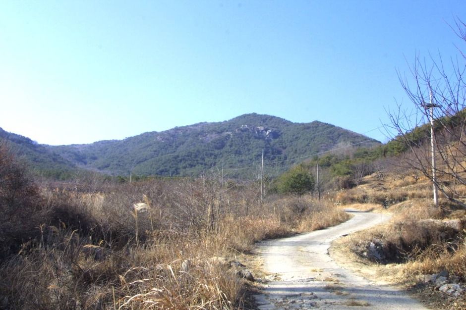 대성산 여행 추천 - 메고지고