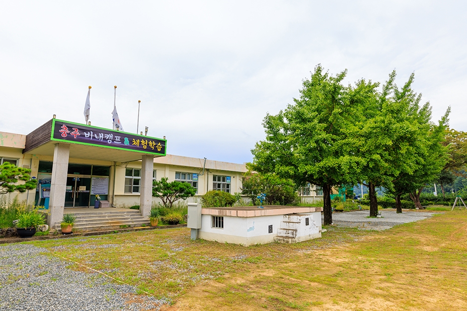 충주 비내오토캠핑장 여행 추천 - 메고지고 충주 비내오토캠핑장 여행 추천 - 메고지고