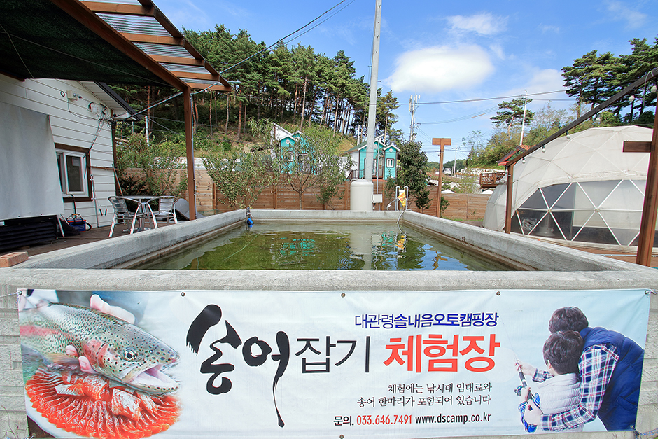 대관령솔내음오토캠프장 여행 추천 - 메고지고 대관령솔내음오토캠프장 여행 추천 - 메고지고
