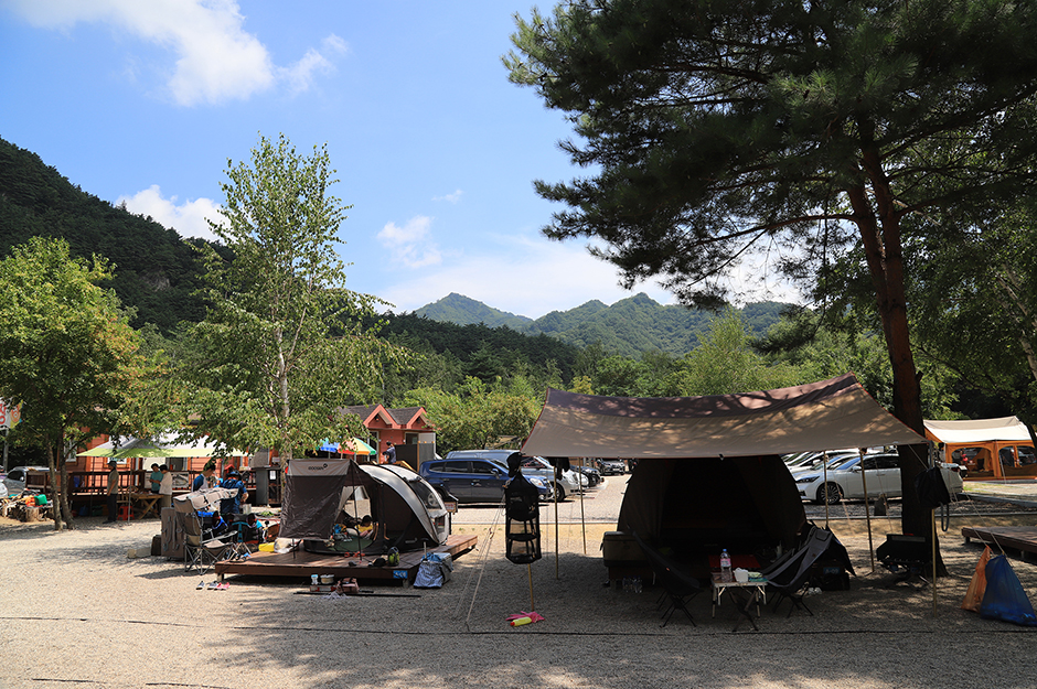 백담고을오토캠핑장 여행 추천 - 메고지고 백담고을오토캠핑장 여행 추천 - 메고지고
