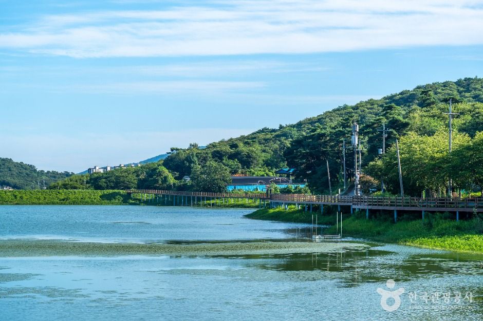 풍전 저수지 여행 추천 - 메고지고 풍전 저수지 여행 추천 - 메고지고