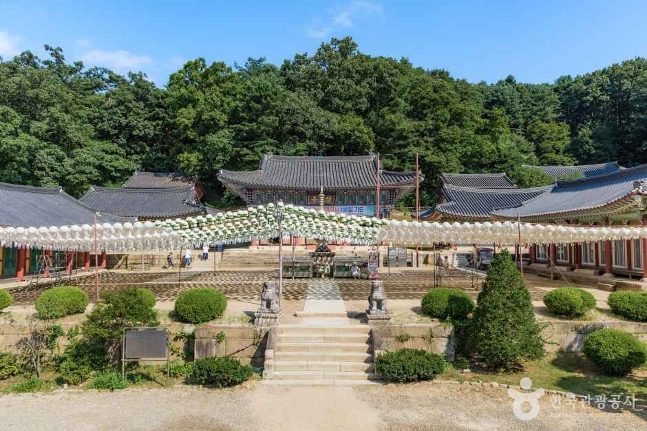 봉선사(남양주) 여행 추천 - 메고지고 봉선사(남양주) 여행 추천 - 메고지고