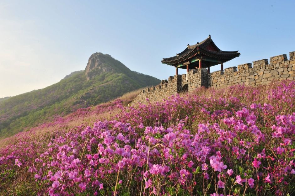 황매산(산청) 여행 추천 - 메고지고