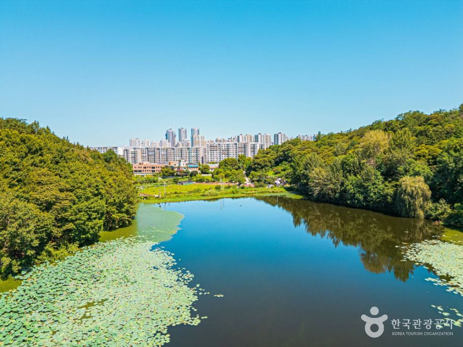 오송제 여행 추천 - 메고지고 오송제 여행 추천 - 메고지고