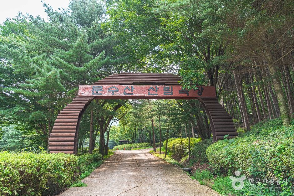 문수산산림욕장 여행 추천 - 메고지고 문수산산림욕장 여행 추천 - 메고지고