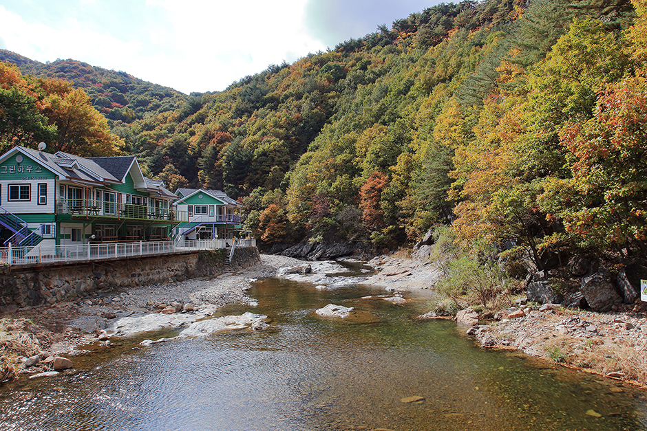 그린하우스캠핑장 여행 추천 - 메고지고 그린하우스캠핑장 여행 추천 - 메고지고