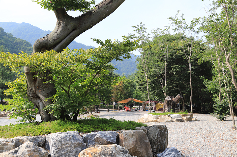산여울캠프장 여행 추천 - 메고지고