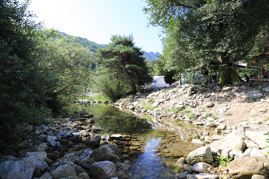 감악산캠핑숲 여행 추천 - 메고지고 감악산캠핑숲 여행 추천 - 메고지고
