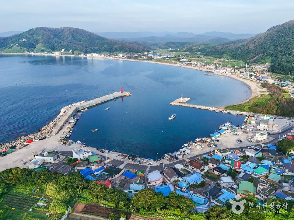 모포항 여행 추천 - 메고지고 모포항 여행 추천 - 메고지고