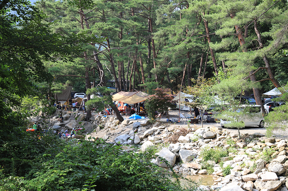산골캠핑장 여행 추천 - 메고지고