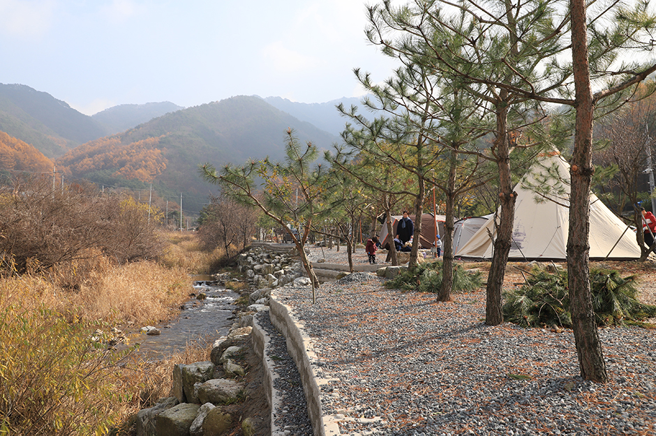 치악산한다리골캠핑장 여행 추천 - 메고지고 치악산한다리골캠핑장 여행 추천 - 메고지고