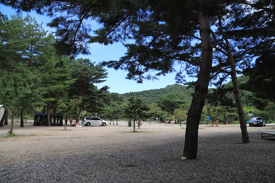엘림캠핑장 여행 추천 - 메고지고 엘림캠핑장 여행 추천 - 메고지고
