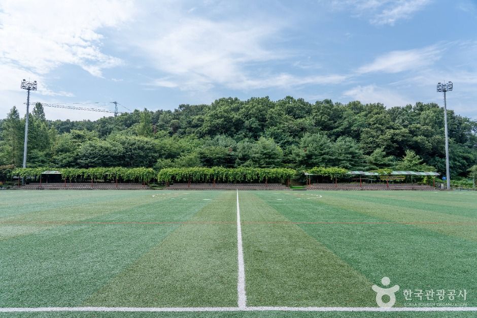 부곡체육공원 여행 추천 - 메고지고