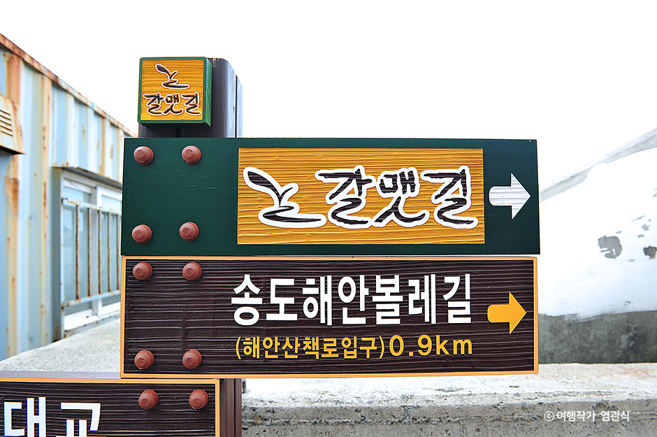 송도해안볼레길 여행 추천 - 메고지고