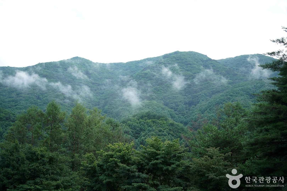 선달산(영월) 여행 추천 - 메고지고 선달산(영월) 여행 추천 - 메고지고