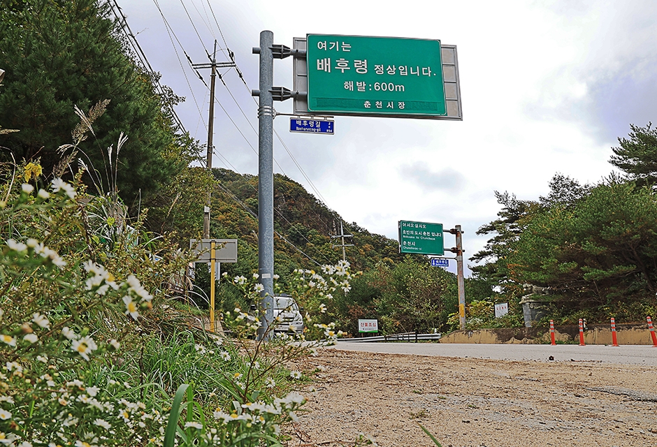 배후령고개 여행 추천 - 메고지고 배후령고개 여행 추천 - 메고지고