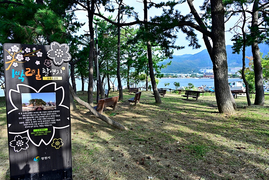 소죽도공원 여행 추천 - 메고지고 소죽도공원 여행 추천 - 메고지고