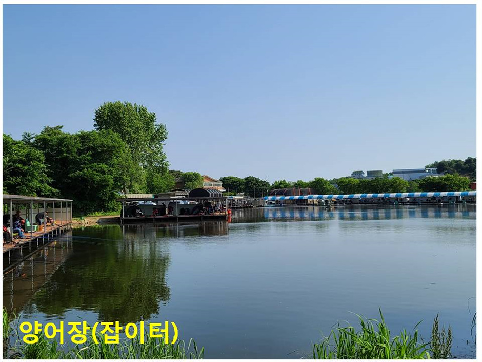 고잔낚시터 여행 추천 - 메고지고