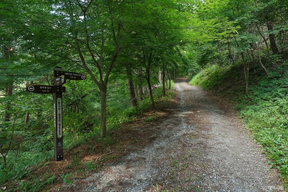 연화산둘레길 여행 추천 - 메고지고