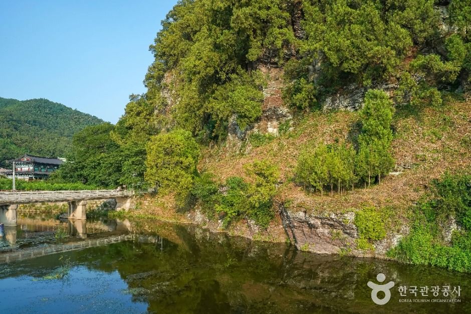 대구 도동 측백나무 숲 여행 추천 - 메고지고 대구 도동 측백나무 숲 여행 추천 - 메고지고