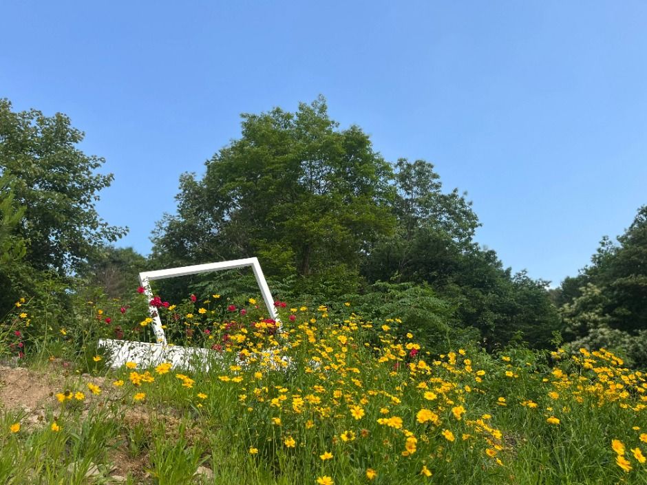 춘천숲자연휴양림 여행 추천 - 메고지고
