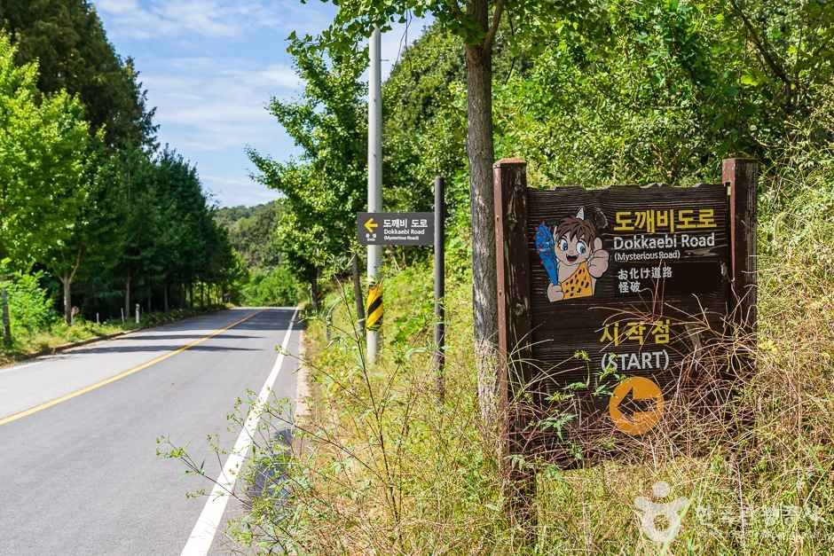 비암사 도깨비도로 여행 추천 - 메고지고 비암사 도깨비도로 여행 추천 - 메고지고