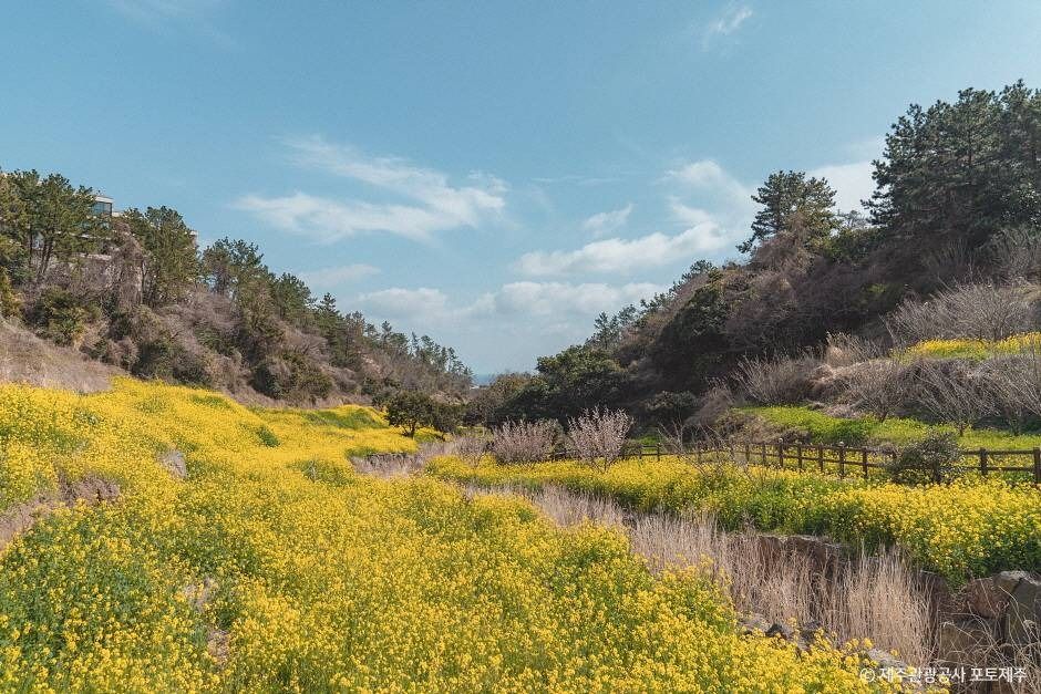 엉덩물계곡 여행 추천 - 메고지고 엉덩물계곡 여행 추천 - 메고지고