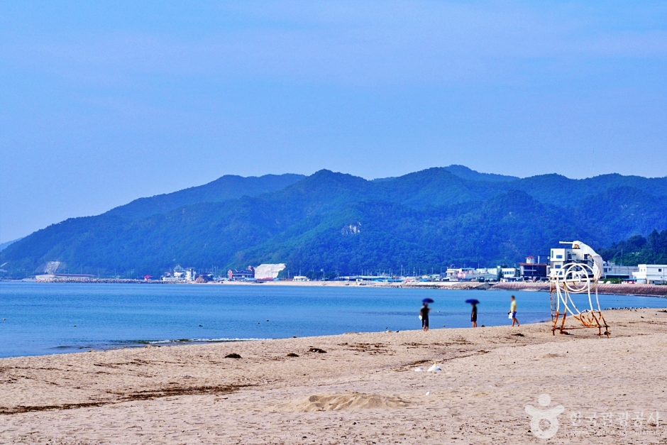 후포해수욕장 여행 추천 - 메고지고 후포해수욕장 여행 추천 - 메고지고