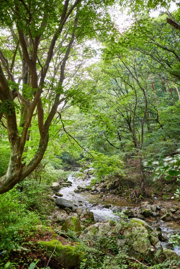 모악산도립공원 여행 추천 - 메고지고 모악산도립공원 여행 추천 - 메고지고