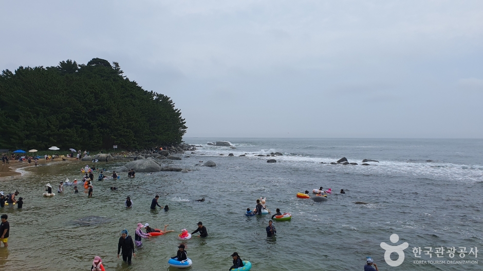 마차진해변 여행 추천 - 메고지고 마차진해변 여행 추천 - 메고지고