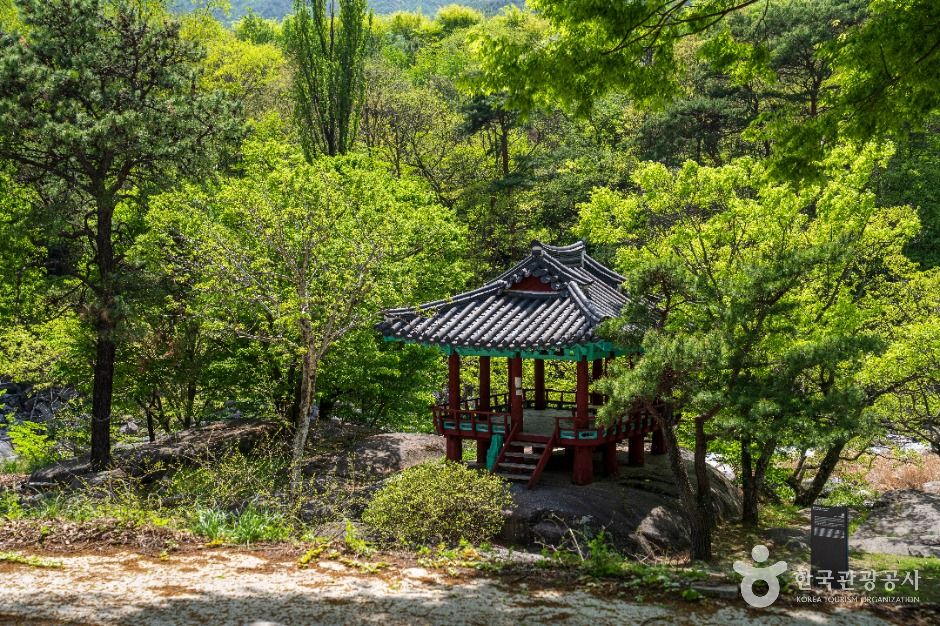 함양 군자정 여행 추천 - 메고지고 함양 군자정 여행 추천 - 메고지고