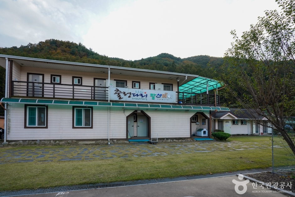 예천 출렁다리마을 여행 추천 - 메고지고 예천 출렁다리마을 여행 추천 - 메고지고