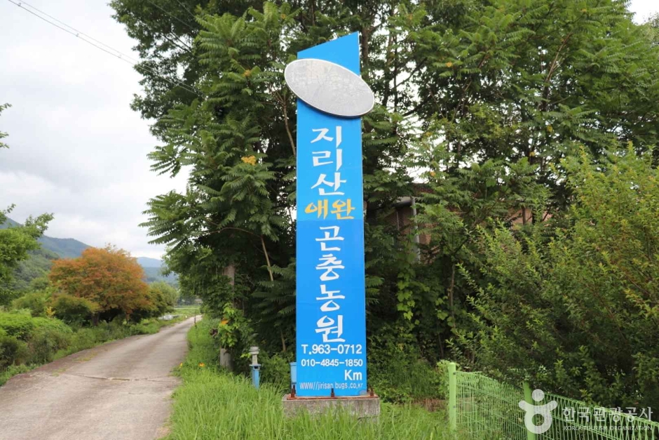지리산 애완곤충농원 여행 추천 - 메고지고