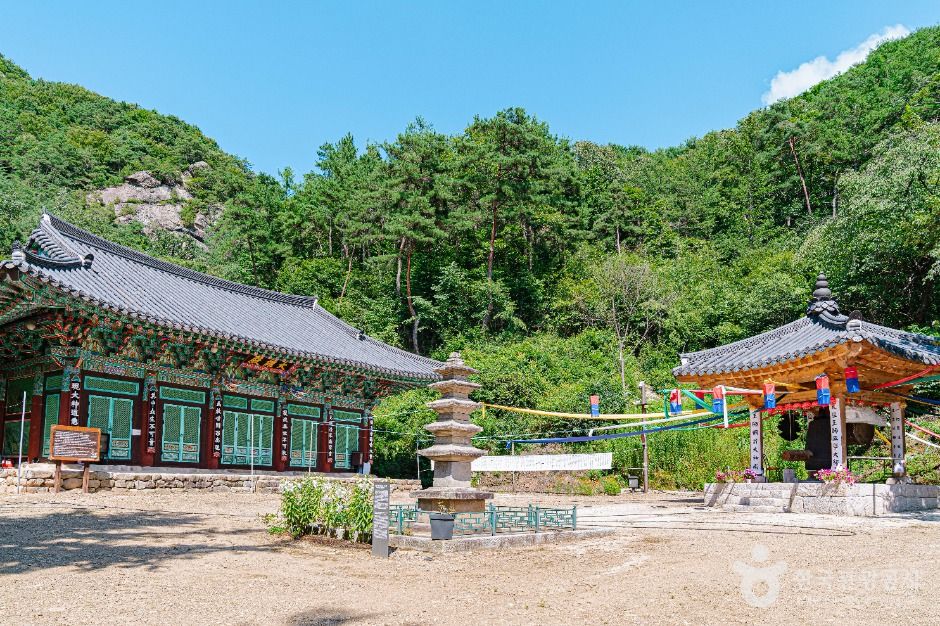보흥사 여행 추천 - 메고지고 보흥사 여행 추천 - 메고지고
