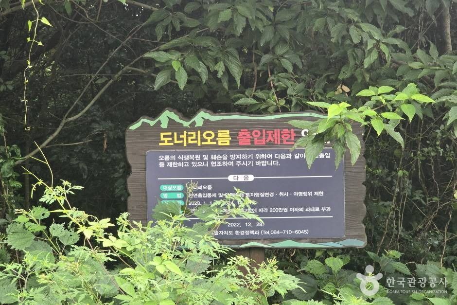 도너리오름 여행 추천 - 메고지고