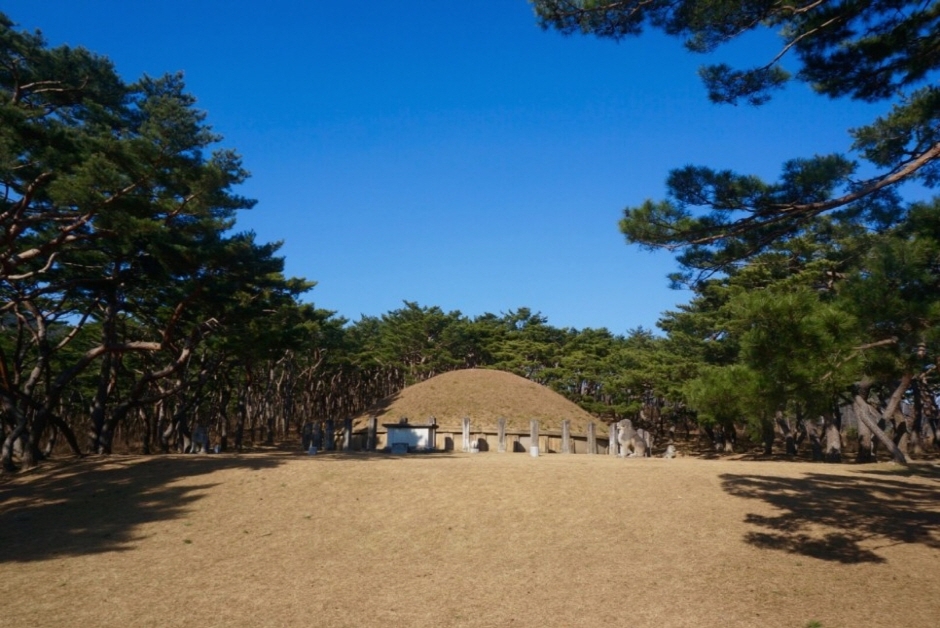 경주 흥덕왕릉 여행 추천 - 메고지고