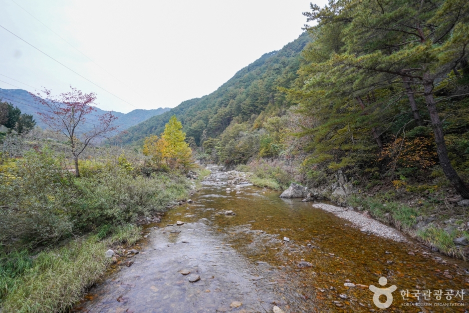 고선계곡(구마계곡) 여행 추천 - 메고지고