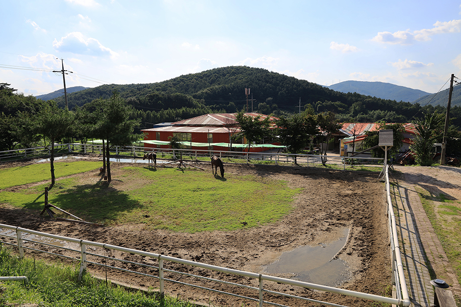 주금산 홀스킹덤 글램핑 여행 추천 - 메고지고 주금산 홀스킹덤 글램핑 여행 추천 - 메고지고