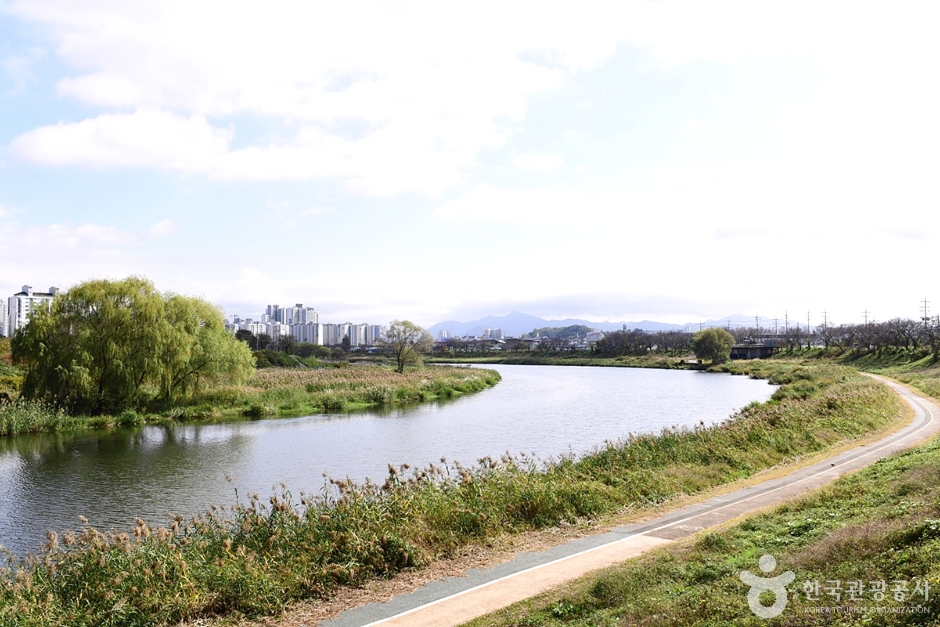 팔복동 천변 여행 추천 - 메고지고 팔복동 천변 여행 추천 - 메고지고