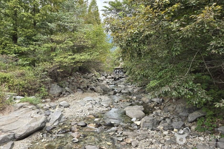 청계계곡 여행 추천 - 메고지고