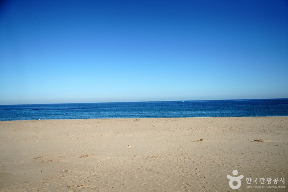 하맹방해변 여행 추천 - 메고지고 하맹방해변 여행 추천 - 메고지고