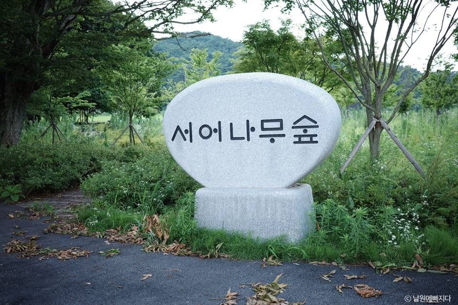 서어나무 숲 여행 추천 - 메고지고