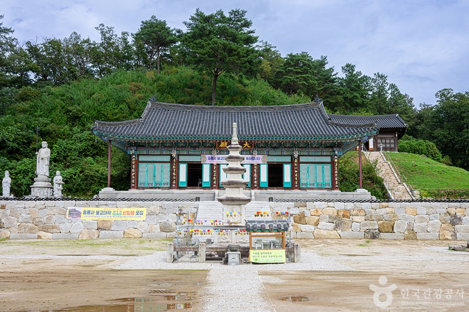 흥룡사 여행 추천 - 메고지고 흥룡사 여행 추천 - 메고지고