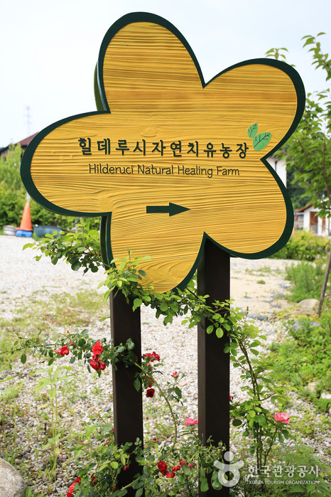 힐데루시 자연치유 협동조합 여행 추천 - 메고지고