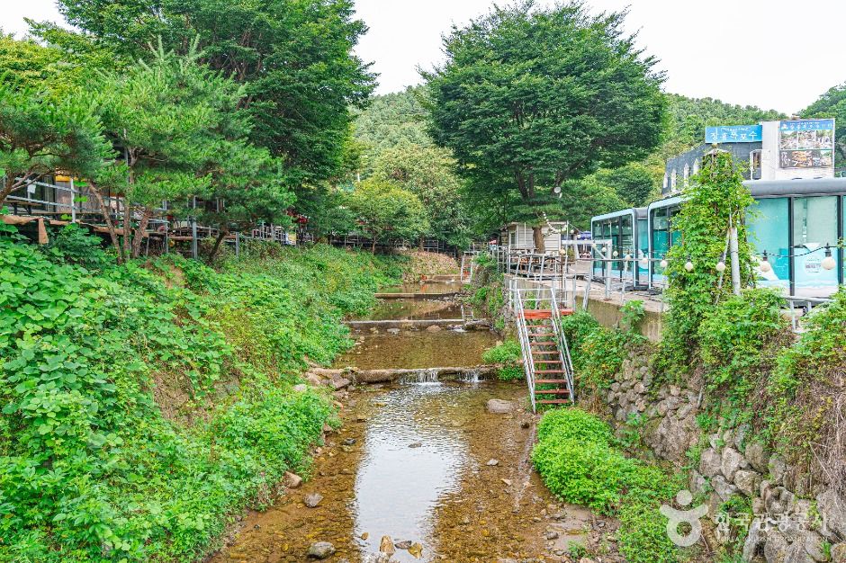 장흥유원지 여행 추천 - 메고지고 장흥유원지 여행 추천 - 메고지고